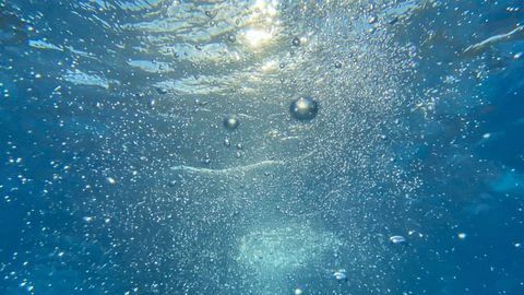 Agricultural Waste Product Can Remove Contaminants From Wastewater