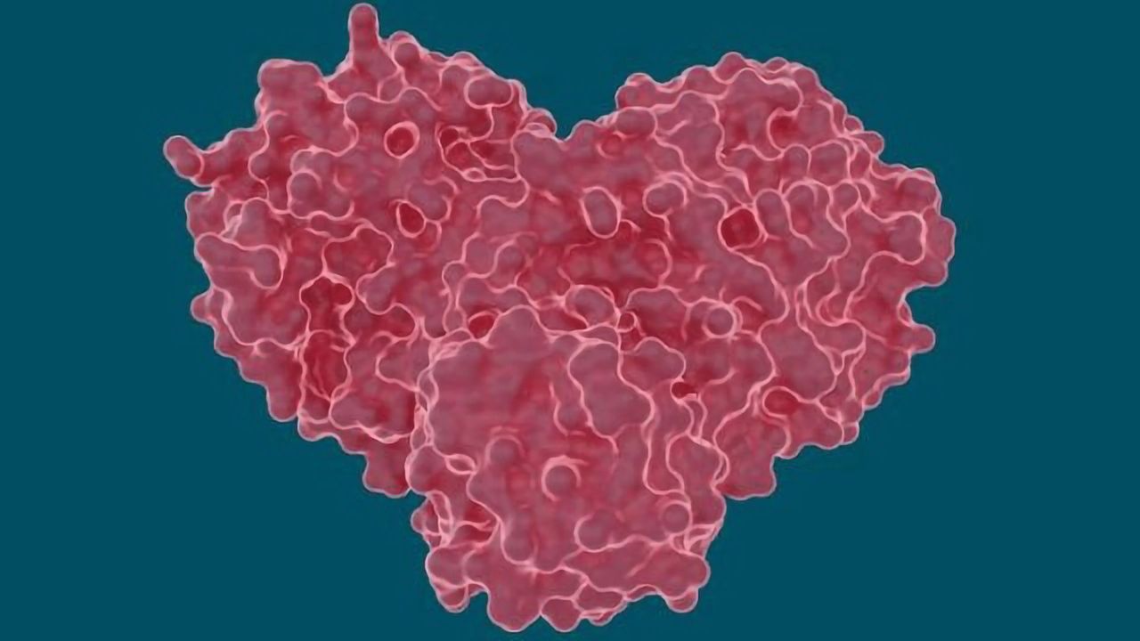 Study Explores Potential of Hepatitis C Drugs To Treat COVID-19