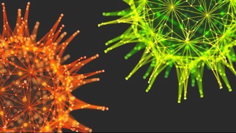 Promising Results From In Vitro Combination Therapy Against COVID-19