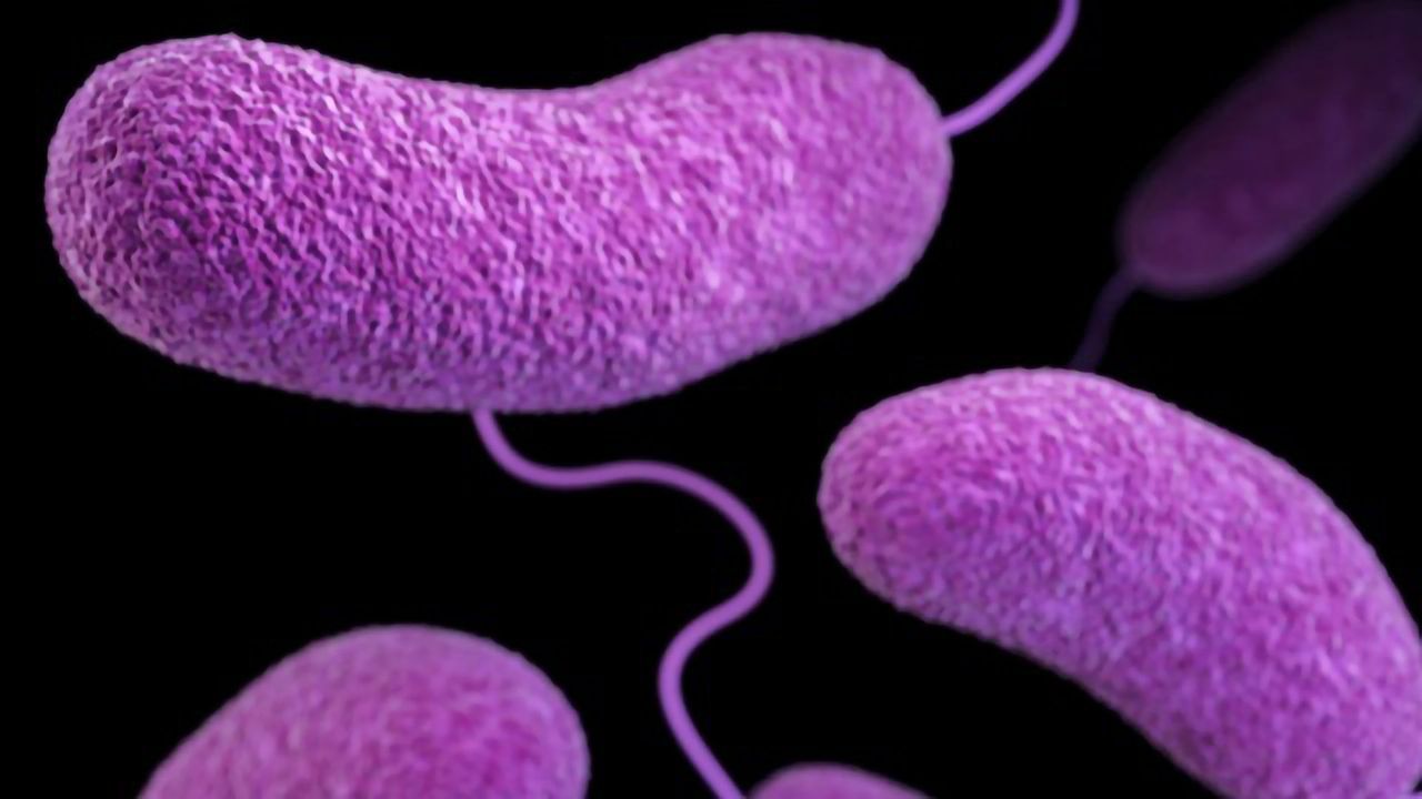 Finding Cholera's Weak Spot Could Advance Vaccine Design