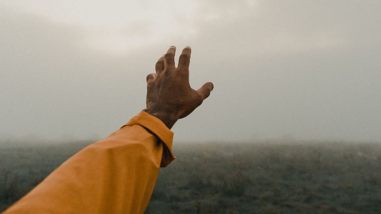 Reaching for Answers: Exploring Movement in the Brain