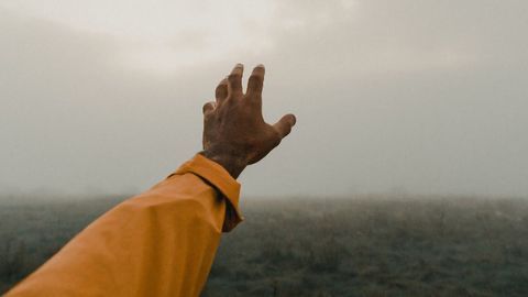 Reaching for Answers: Exploring Movement in the Brain