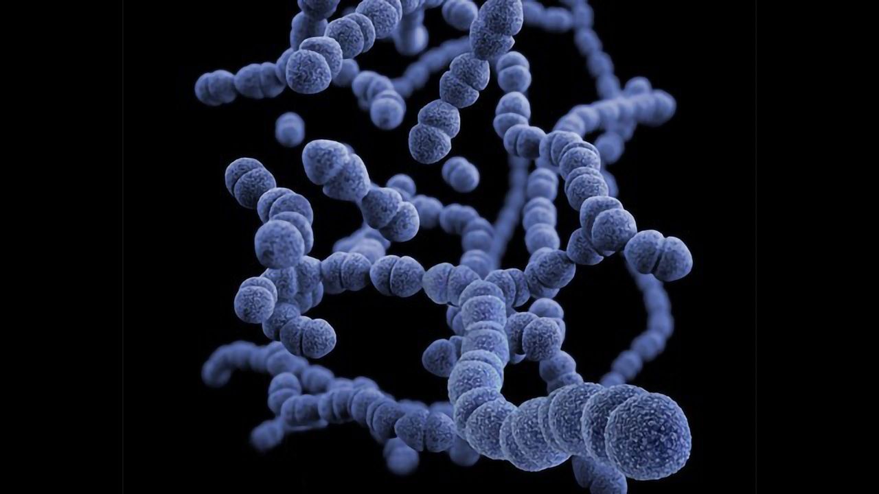 BioVersys Announces First Subjects Dosed in Phase 1 Clinical Trial of BV100