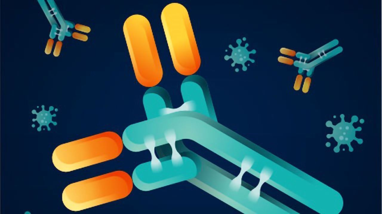 Introducing the Antibody