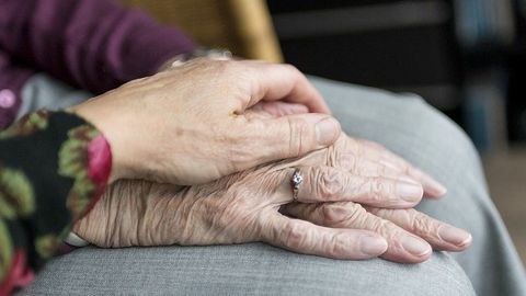 Oxford Coronavirus Vaccine Elicits a Robust Immune Response in Older Adults