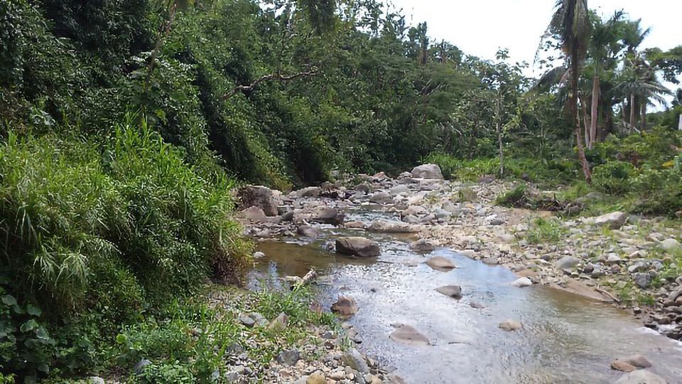 Post-Hurricane Monitoring of Antibiotic Resistance in Waterways Reveals Hotspots content piece image