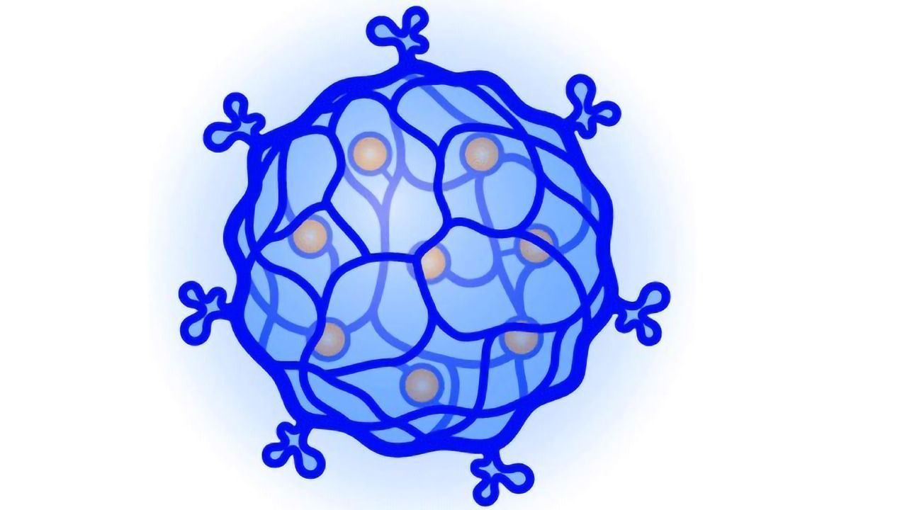 DNA-Based Nanogels Designed for Targeted Chemotherapy