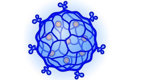 DNA-Based Nanogels Designed for Targeted Chemotherapy