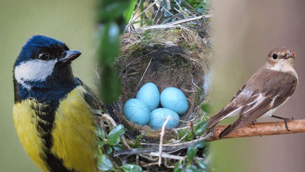 Birds of a Feather Share Data Together