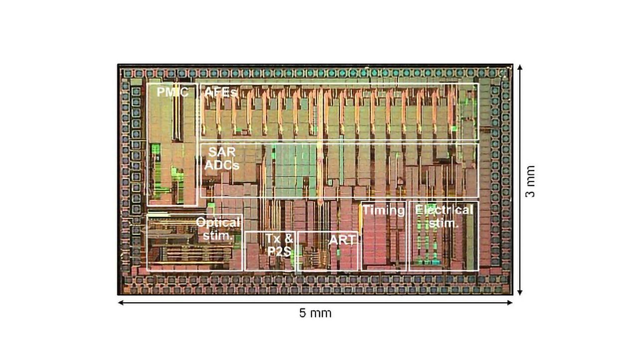 State-of-the-Art Wireless Chip Advances Brain Stimulation Research