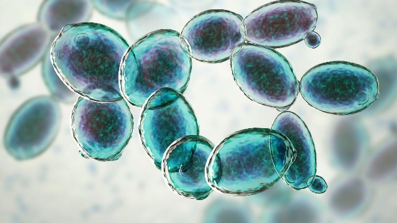 Microbial-Based Biosynthesis in Modern Medicine