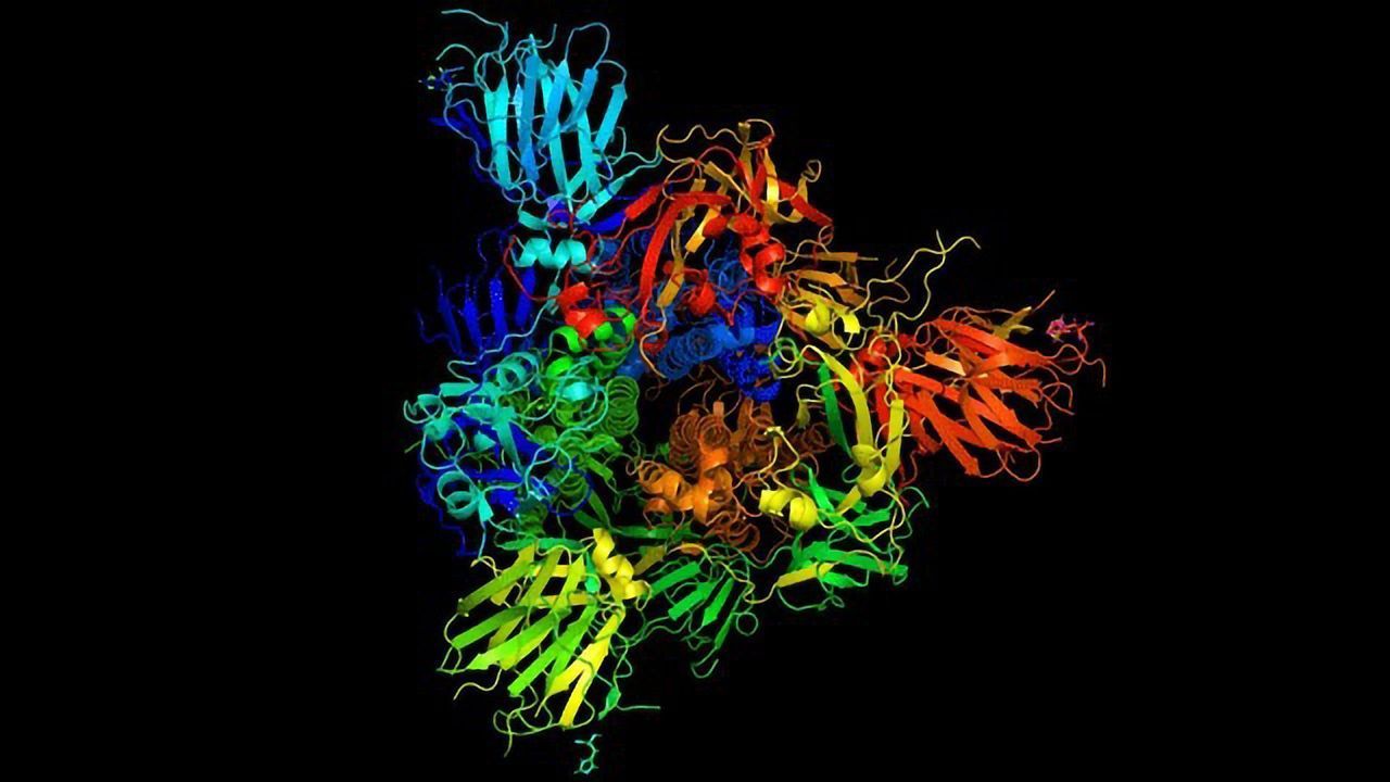 Coronavirus Proteins Move, Change Shape and Vibrate To Get in Our Cells