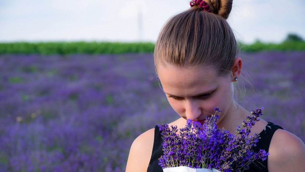 Order, Odor: Proposing a Framework for Smell