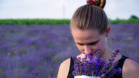 Order, Odor: Proposing a Framework for Smell