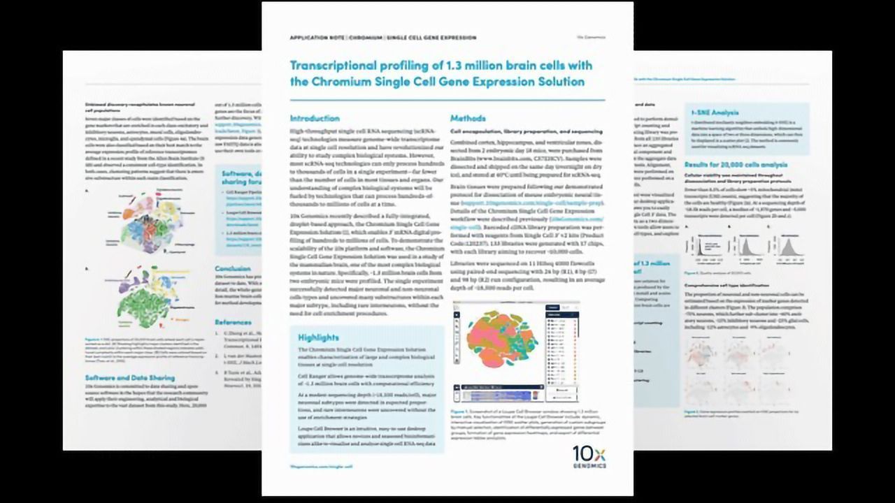 Using Single-Cell Gene Expression for Transcriptional Profiling of Brain Cells