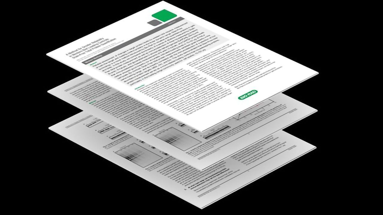 Achieve Greater Reliability in Western Blot Loading Controls