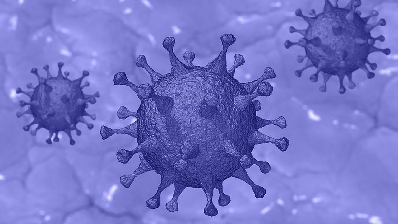 Previous SARS-CoV-2 Infection Prevents Reinfection for at Least 6 Months