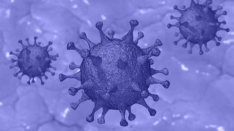 Previous SARS-CoV-2 Infection Prevents Reinfection for at Least 6 Months