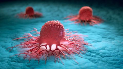 Uncovering the Inner Workings of a Key Cellular Machine Involved in Human Cancers