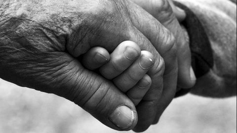 Study Finds Hyperbaric Oxygen Treatment Halts the Aging of Blood Cells