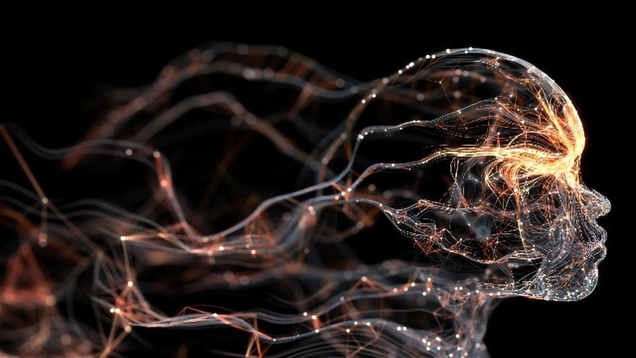 Memory "Fingerprints" Reveal How the Brain Is Organized