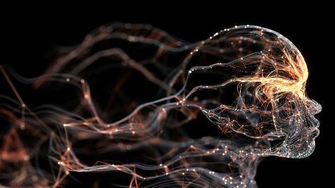 Memory "Fingerprints" Reveal How the Brain Is Organized