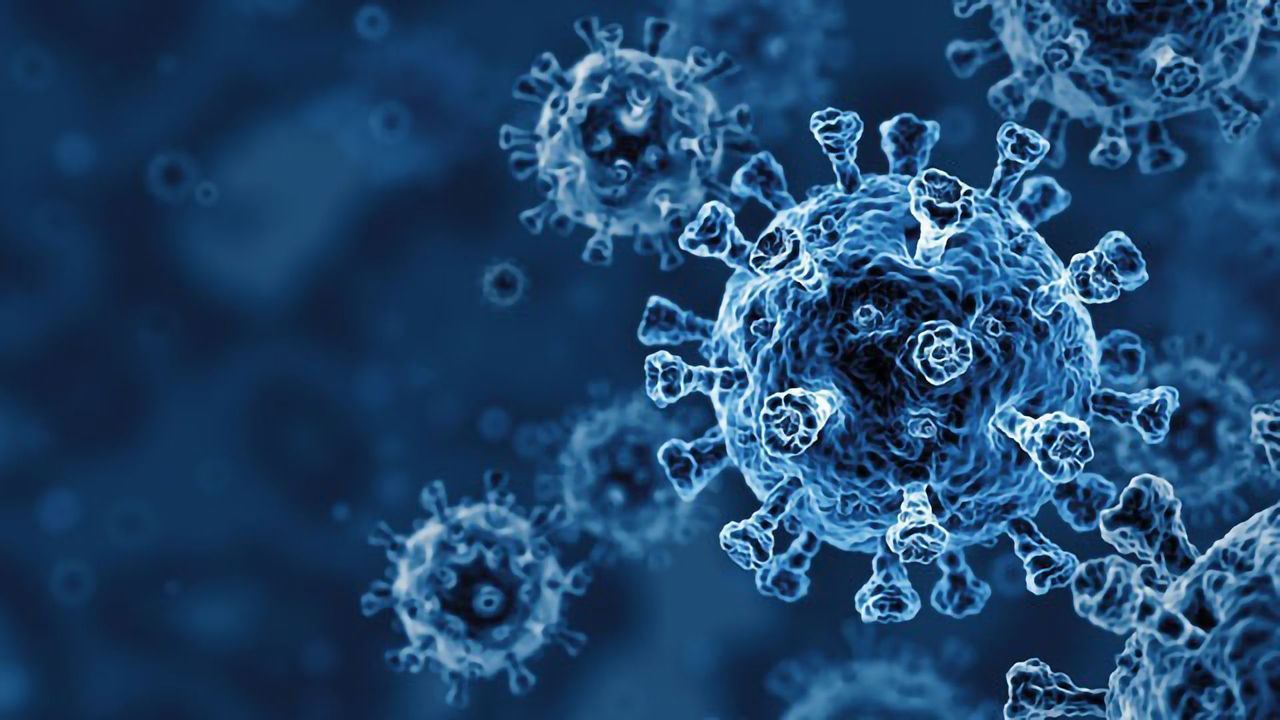 Team Discovers Inhibitors Capable of Blocking the Uptake of SARS-CoV-2