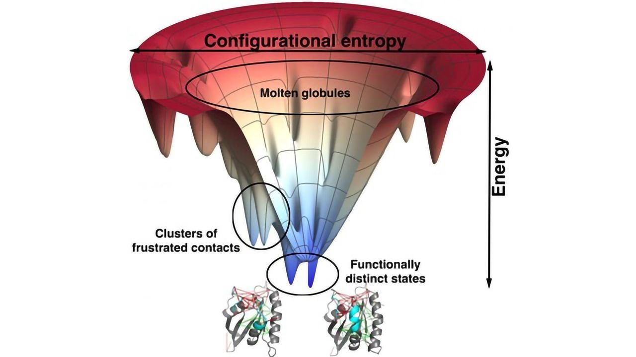 New Details About Protein Binding Could Lead to Better Drugs