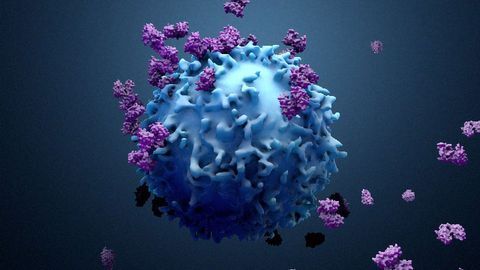 New Type of Immunotherapy Developed To Fight Cancer