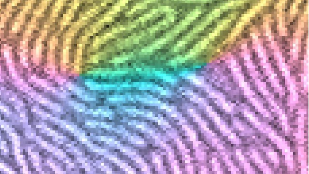 Social Bacteria Harness Fingerprint Physics To Create Shelters