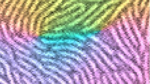 Social Bacteria Harness Fingerprint Physics To Create Shelters