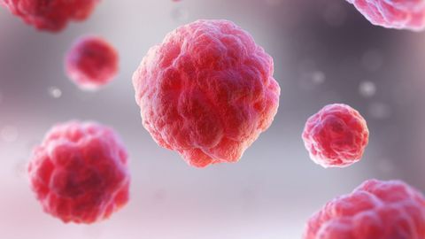 Imaging Method Reveals a "Symphony of Cellular Activities"