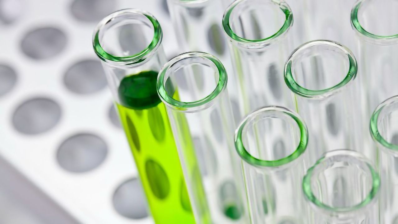 Creating a Strategy for a Successful Assay