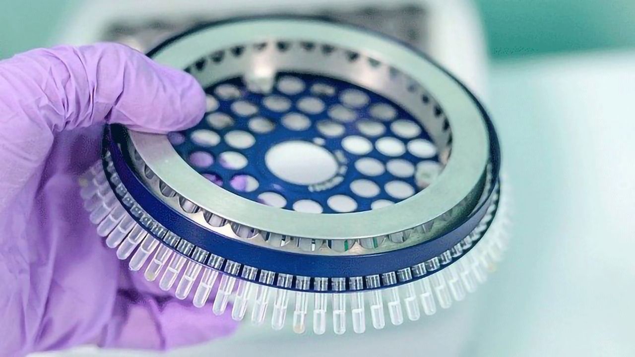 Optimize Your Automated PCR in Real Time