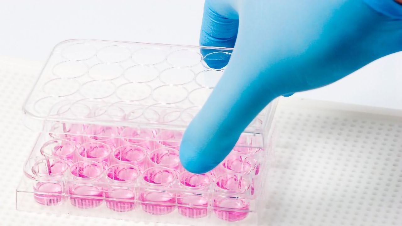 InSphero Strengthens Scientific Advisory Board To Advance Drug Discovery and Safety Solutions