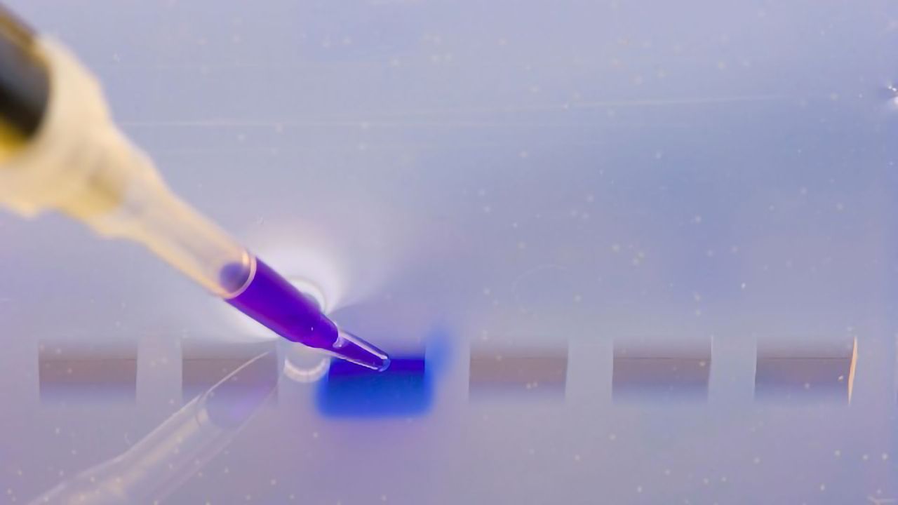 Activated Research Company Offers Stop-Flow Modulation Solution for GCxGC