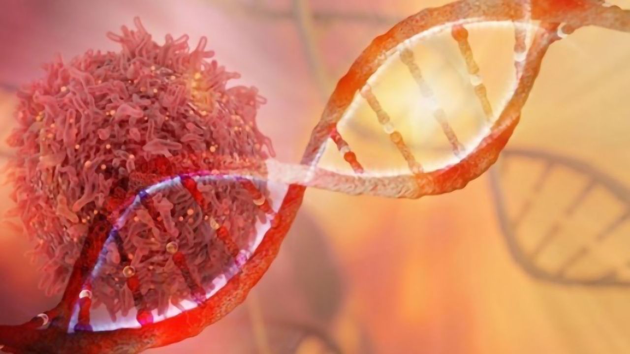 Porvair Reports Ovarian Cancer Project Shows Promise