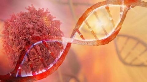 Porvair Reports Ovarian Cancer Project Shows Promise