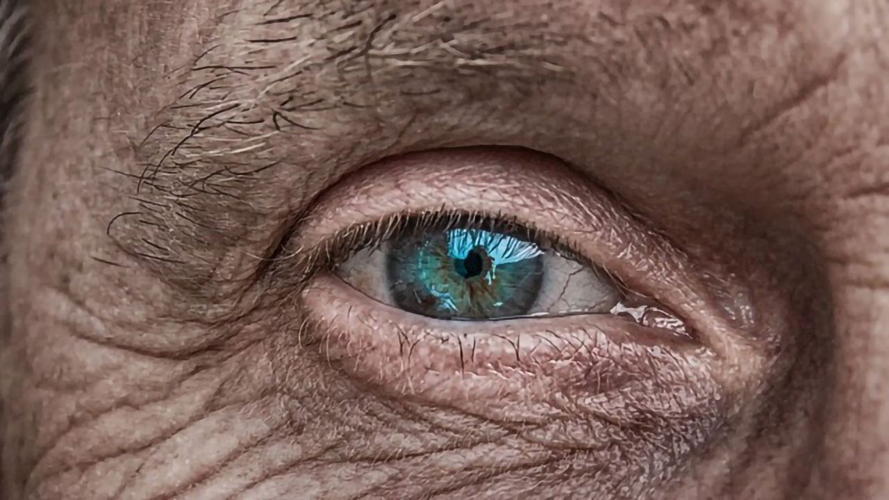 Stem Cell-Based Screen Finds Potential Treatments for Vision Loss