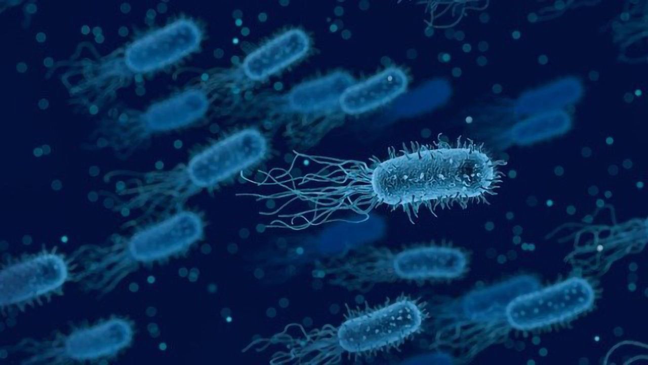 Can Medicines That Alter the Microbiome Prevent Cardiovascular Disease?