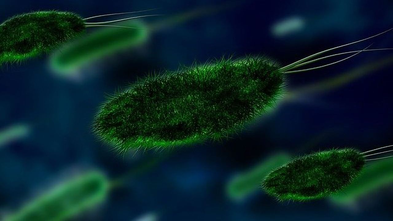 Half the Population Unaware Climate Change Impacts Infectious Diseases