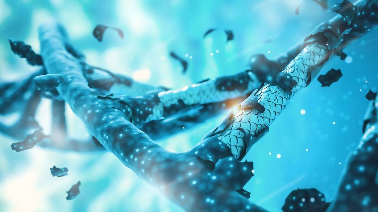 How the CRISPR Immune System Evolved