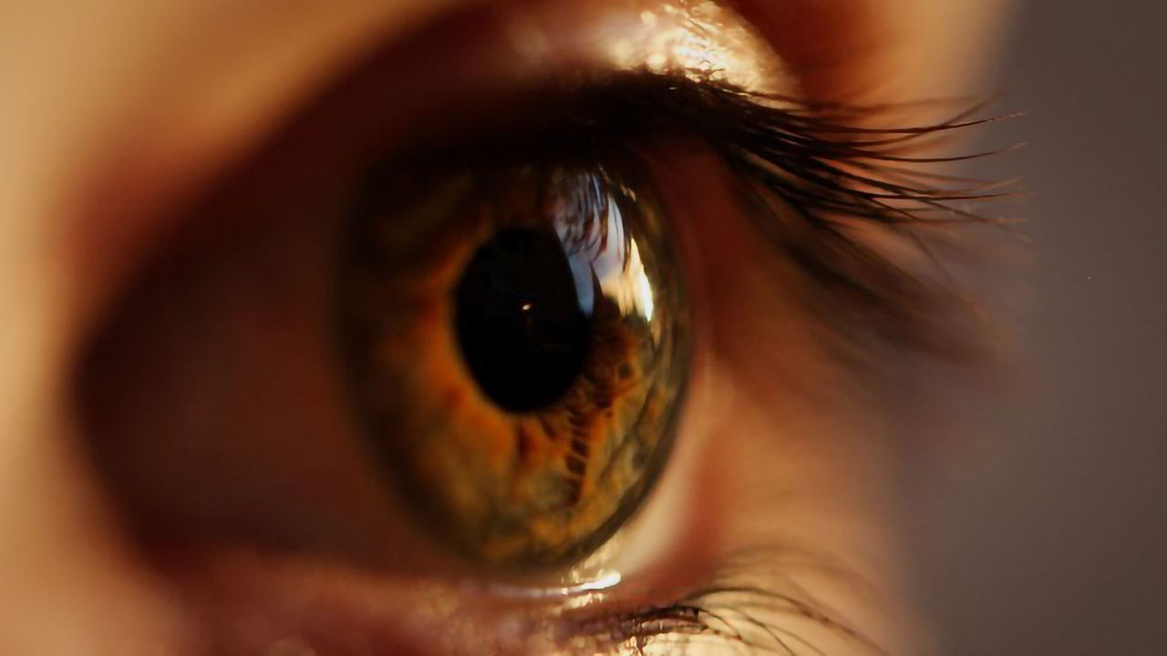 Why Our Vision Is More Than the Sum of Its Parts