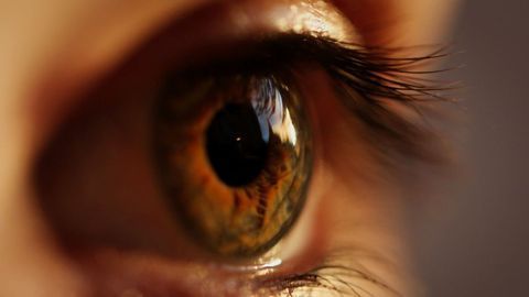 Why Our Vision Is More Than the Sum of Its Parts