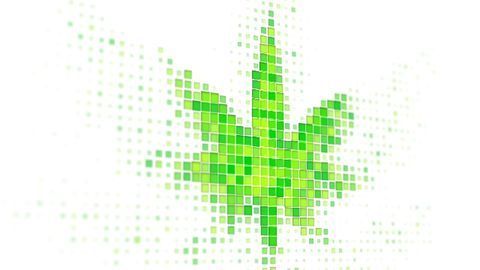 The Future of Cannabis Testing