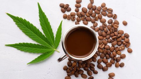 Beverage Testing Part 2: Keeping Up and Getting Ahead With Beverage Analysis