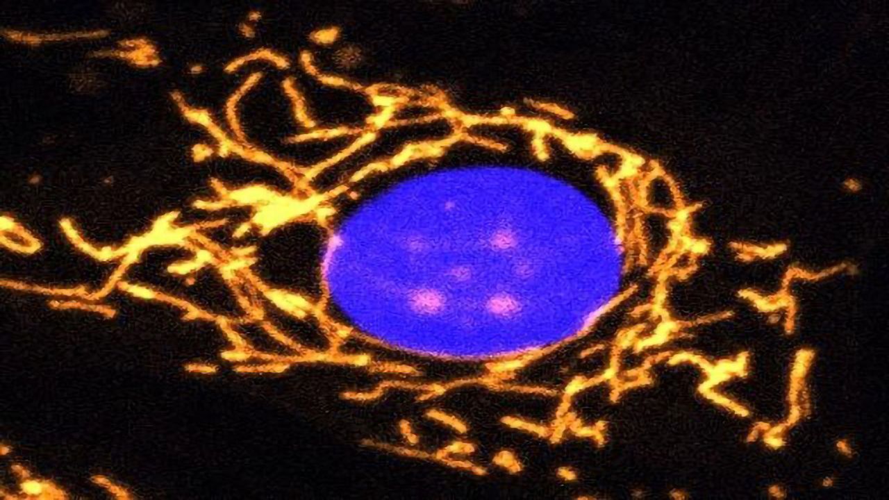 A New Gene Therapy Strategy for Eye Disease