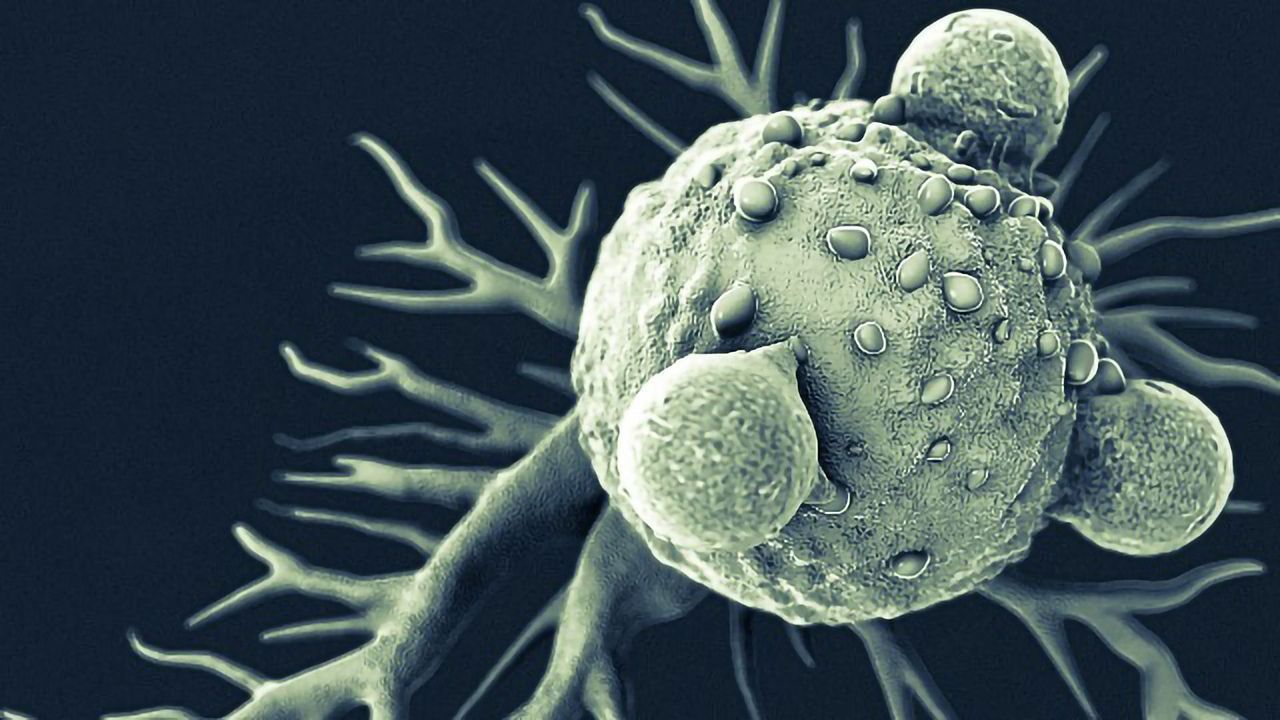 “Molecular Clock” Blood Test Could Be Used To Track Metastatic Breast Cancer