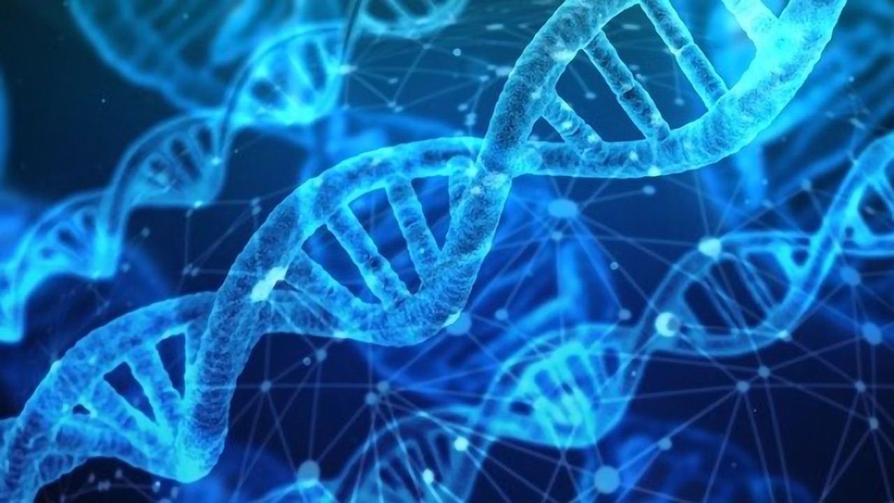 A New Role for Pregnancy Associated Protein in Gestational Diabetes