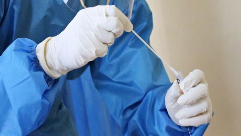 Researchers Trace the Spread of SARS-CoV-2 From Nose to Brain